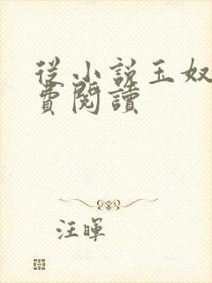 从小说玉奴娇免费阅读