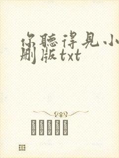 你听得见小说未删版txt