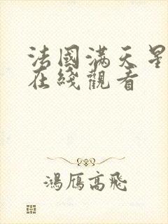 法国满天星电影在线观看