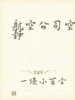 航空公司空姐王静