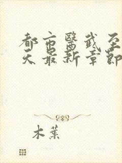 都市医武至尊宁天最新章节