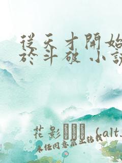 从天才开始无敌于斗破 小说