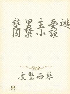 双男主受逃跑被囚禁小说