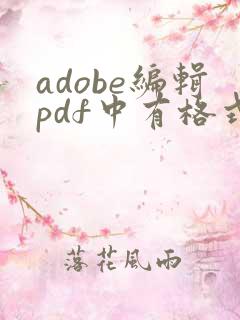 adobe编辑pdf中有格式刷吗
