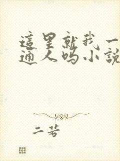 这里就我一个普通人吗小说免费阅读