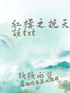 红楼之挽天倾小说txt