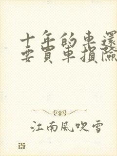 十年的车还有必要买车损险吗