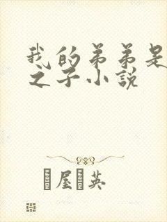 我的弟弟是天选之子小说