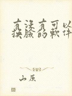 有没有可以ai换脸的软件