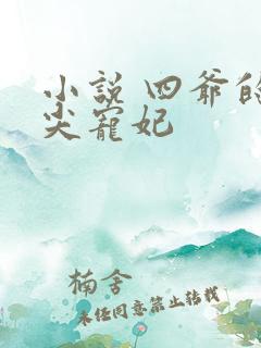 小说 四爷的心尖宠妃