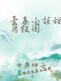 青春小说甜文推荐校园