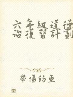 六年级道德与法治复习计划