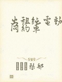 出租纯电动车跑网约车