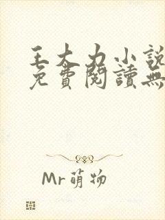 王大力小说小说免费阅读无弹窗