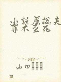 小说厉总夫人她罪不至死