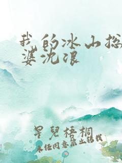 我的冰山总裁老婆沈浪