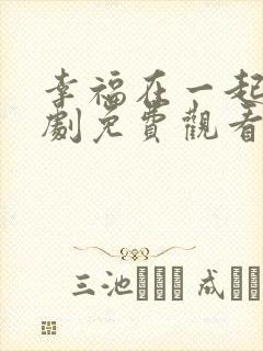 幸福在一起电视剧免费观看全集