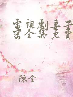 电视剧妻子的秘密全集免费观看