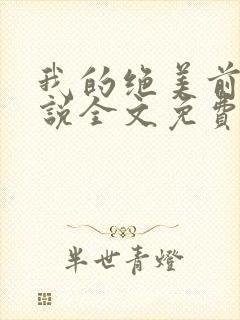 我的绝美前妻小说全文免费阅读