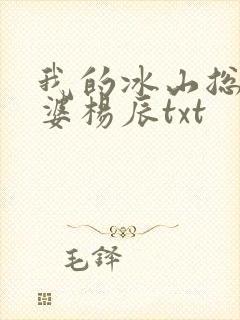 我的冰山总裁老婆杨辰txt