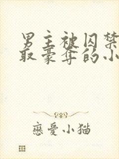 男主被囚禁被强取豪夺的小说