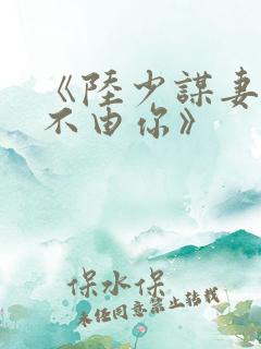 《陆少谋妻之婚不由你》