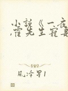 小说《一夜情深,霍先生宠妻无度》