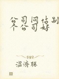 公司网站制作哪个公司好