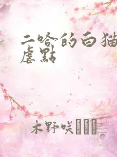 二哈的白猫师尊虐点