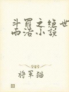 斗罗之绝世日月雨浩小说