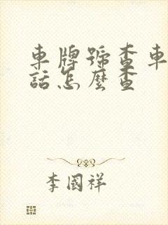 车牌号查车主电话怎么查