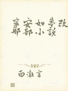 宁安如梦改编自哪部小说