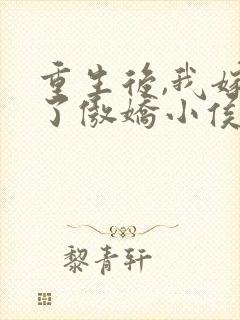 重生后,我嫁给了傲娇小侯爷