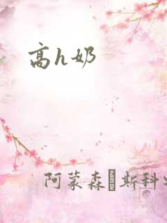 高h奶