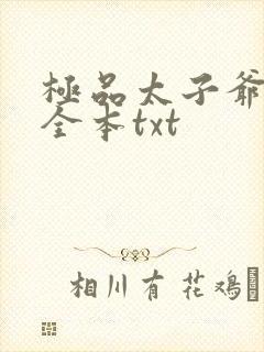 极品太子爷下载全本txt