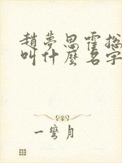 赵梦思霍总小说叫什么名字