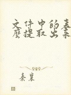 文件中的表格怎么提取出来