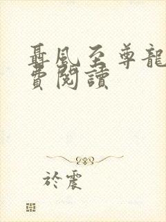 聂风至尊龙王免费阅读