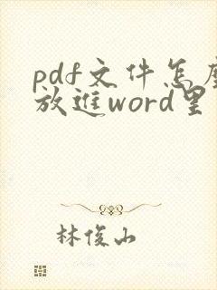 pdf文件怎么放进word里
