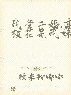 我爸二婚,高冷校花是我妹全