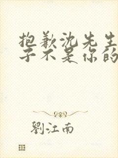 抱歉沈先生,孩子不是你的全集短剧