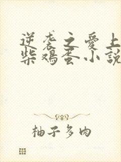 逆袭之爱上情敌柴鸡蛋小说全文免费阅读下载