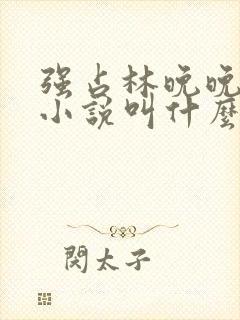 强占林晚晚原著小说叫什么名字