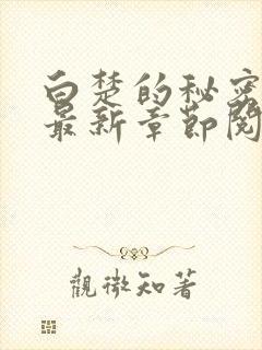 白楚的秘密小说最新章节阅读全文