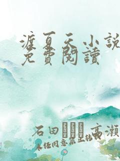 渡夏天小说全文免费阅读