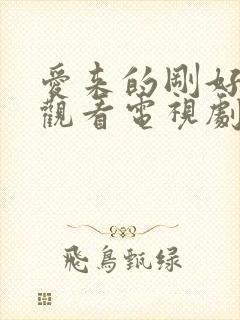 爱来的刚好免费观看电视剧