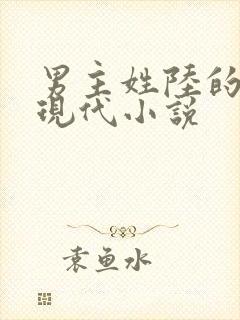 男主姓陆的全部现代小说