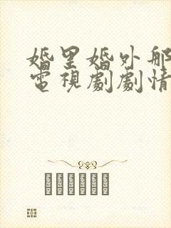 婚里婚外那些事电视剧剧情介绍