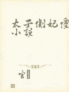 太子侧妃傻乎乎小说