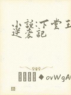 小说:下堂王妃逆袭记